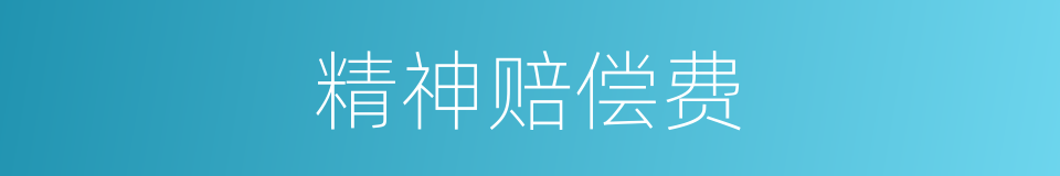精神赔偿费的同义词