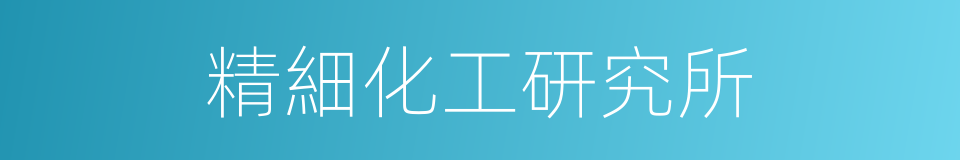 精細化工研究所的同義詞