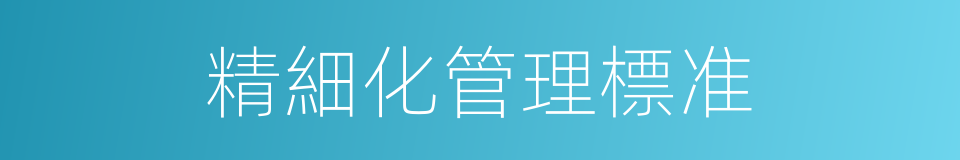 精細化管理標准的同義詞
