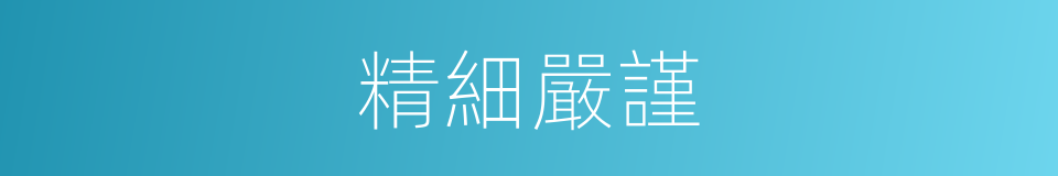 精細嚴謹的同義詞