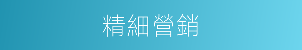 精細營銷的同義詞