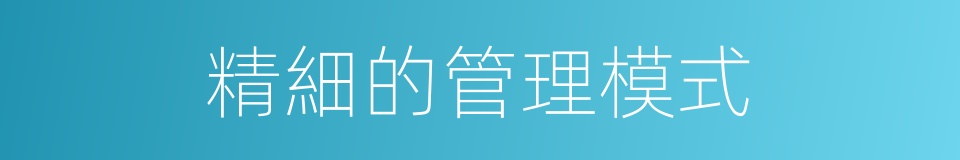 精細的管理模式的同義詞