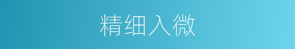精细入微的意思