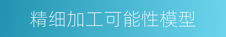 精细加工可能性模型的同义词