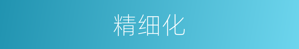 精细化的意思