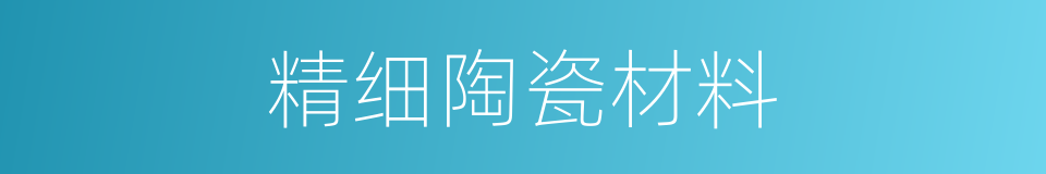 精细陶瓷材料的同义词