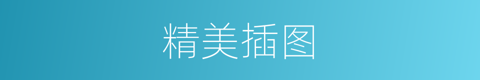 精美插图的同义词