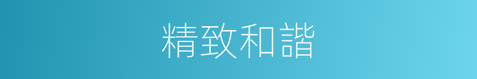 精致和諧的意思