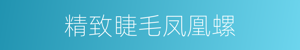 精致睫毛凤凰螺的同义词