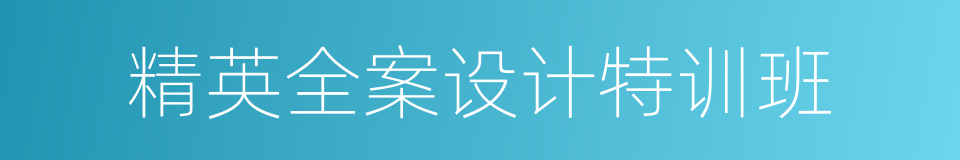 精英全案设计特训班的同义词