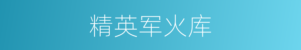 精英军火库的同义词