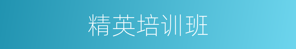 精英培训班的同义词