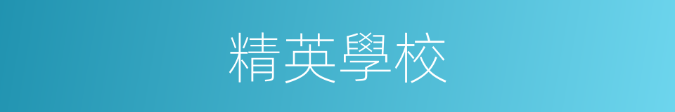 精英學校的同義詞