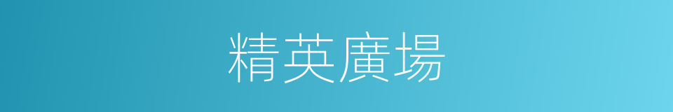 精英廣場的同義詞