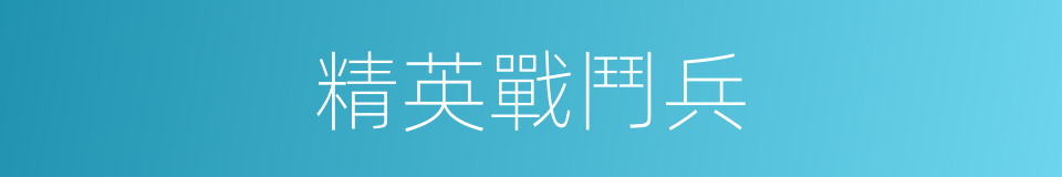 精英戰鬥兵的同義詞
