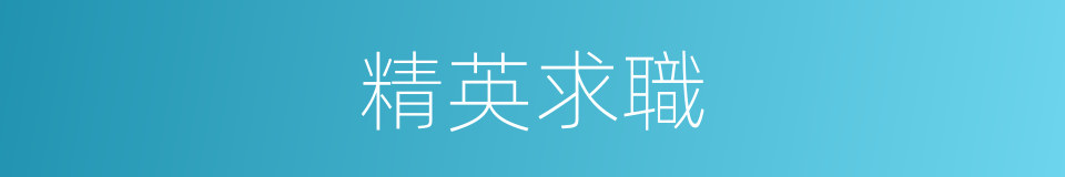 精英求職的同義詞