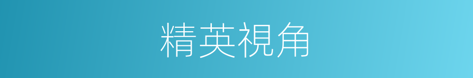 精英視角的同義詞