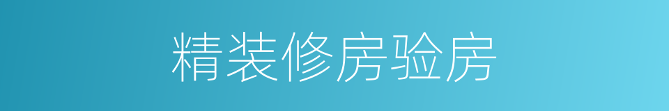 精装修房验房的同义词