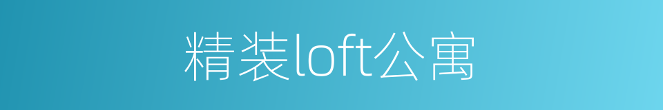 精装loft公寓的同义词