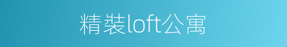 精裝loft公寓的同義詞