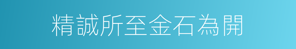 精誠所至金石為開的同義詞