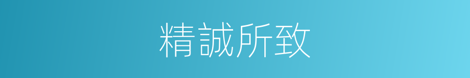 精誠所致的意思
