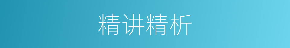 精讲精析的同义词