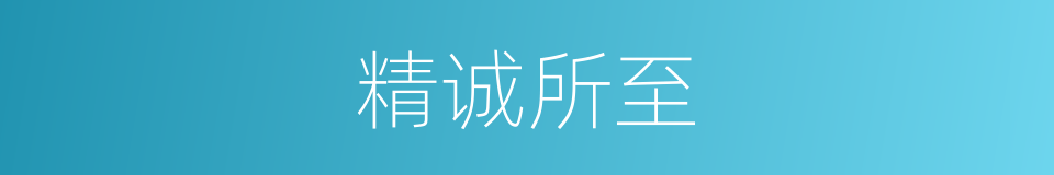 精诚所至的意思