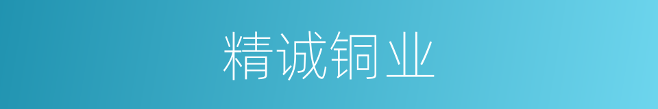 精诚铜业的同义词