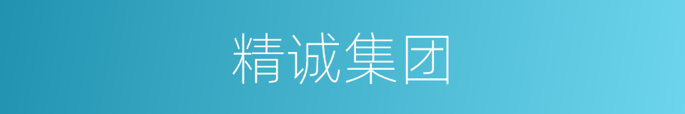 精诚集团的同义词