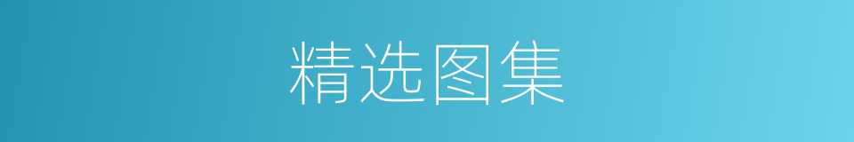 精选图集的同义词