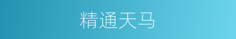 精通天马的同义词