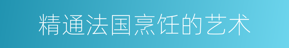 精通法国烹饪的艺术的同义词