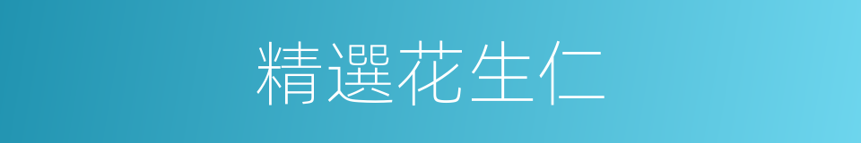 精選花生仁的同義詞