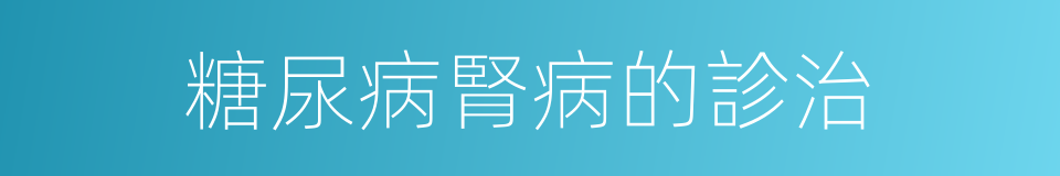 糖尿病腎病的診治的同義詞