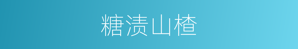 糖渍山楂的同义词