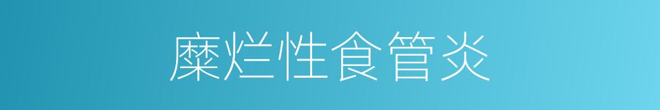 糜烂性食管炎的同义词