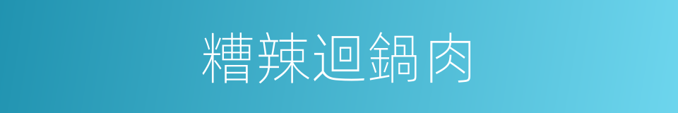 糟辣迴鍋肉的同義詞