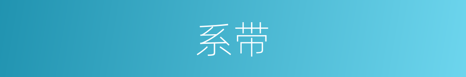 系带的意思