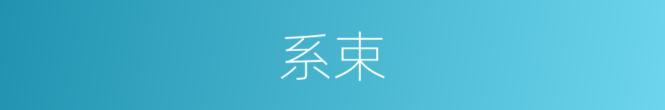 系束的意思