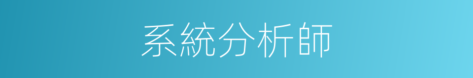 系統分析師的同義詞