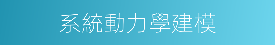 系統動力學建模的同義詞