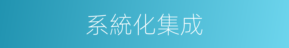 系統化集成的同義詞