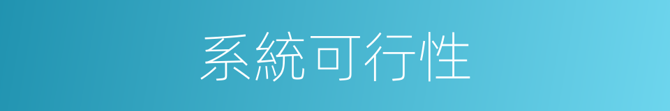 系統可行性的同義詞