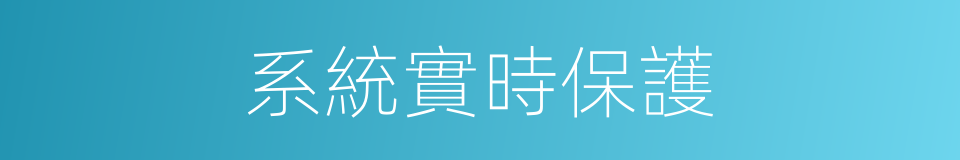 系統實時保護的同義詞