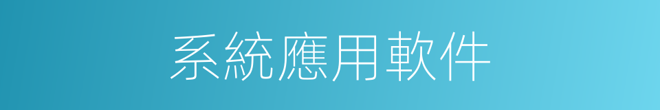 系統應用軟件的同義詞