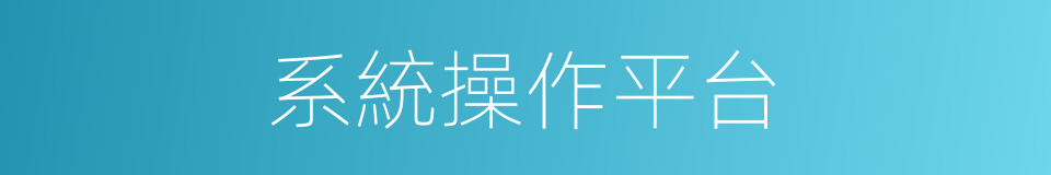 系統操作平台的同義詞
