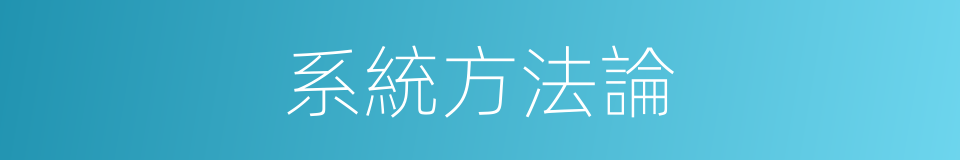 系統方法論的同義詞