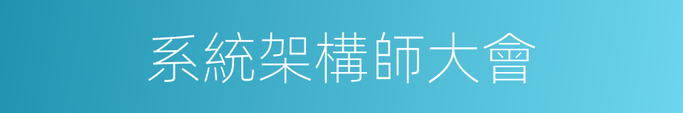 系統架構師大會的同義詞