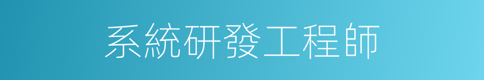 系統研發工程師的同義詞